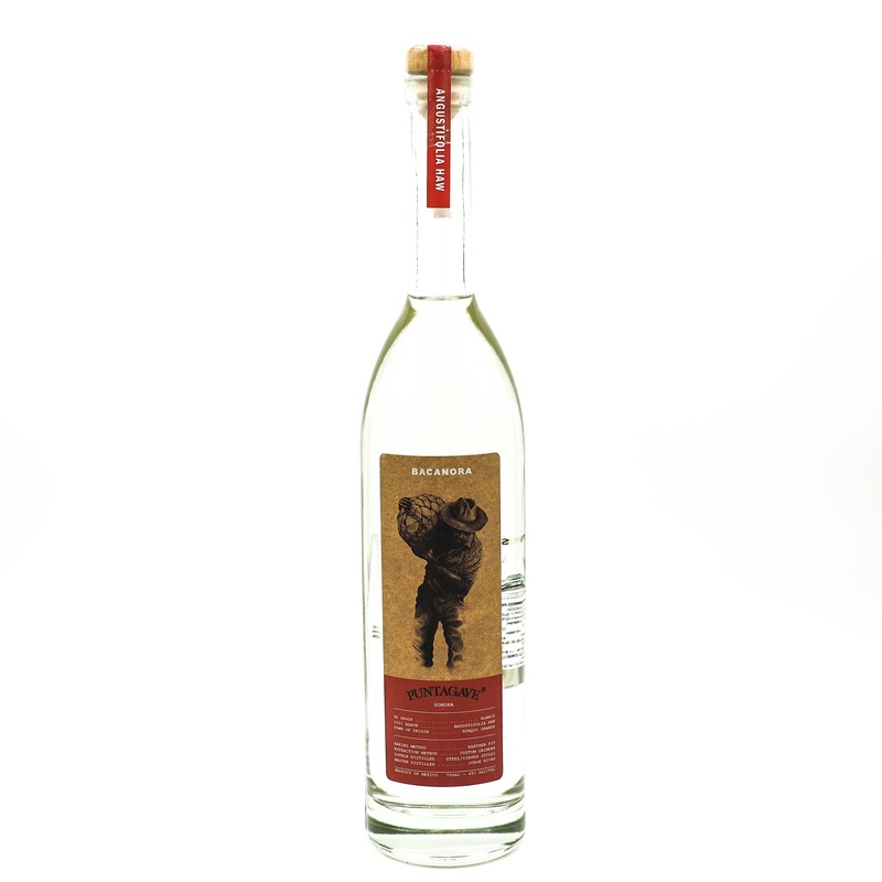 Puntagave Bacanora Sonora