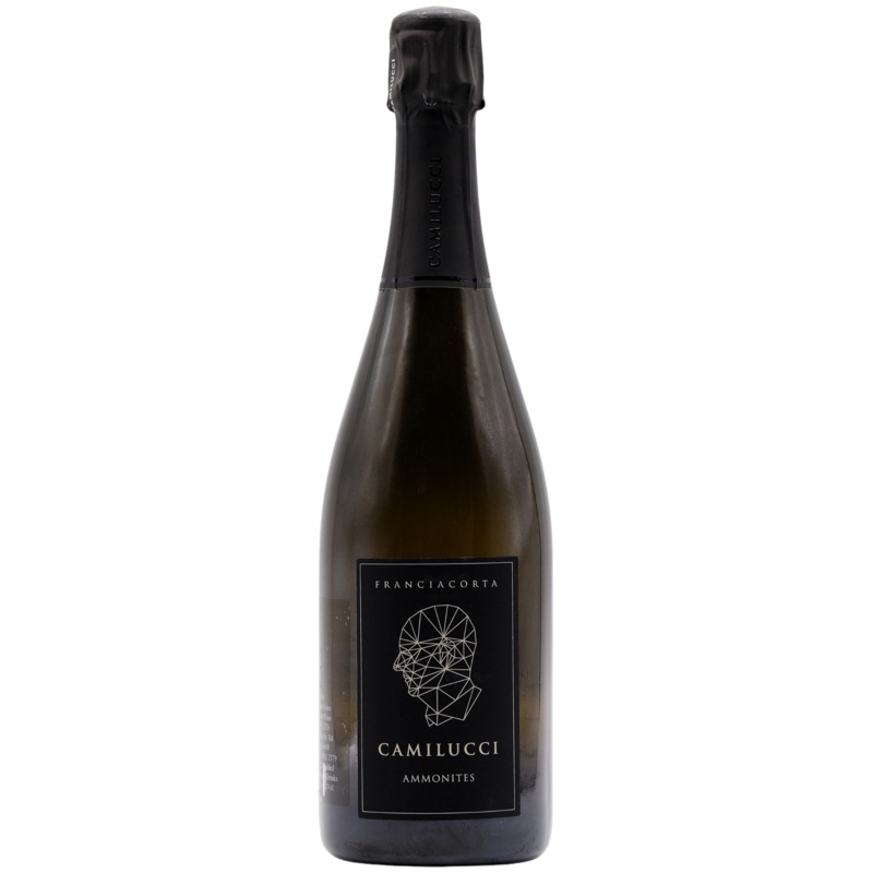 CAMILUCCI – AMMONITES FRANCIACORTA