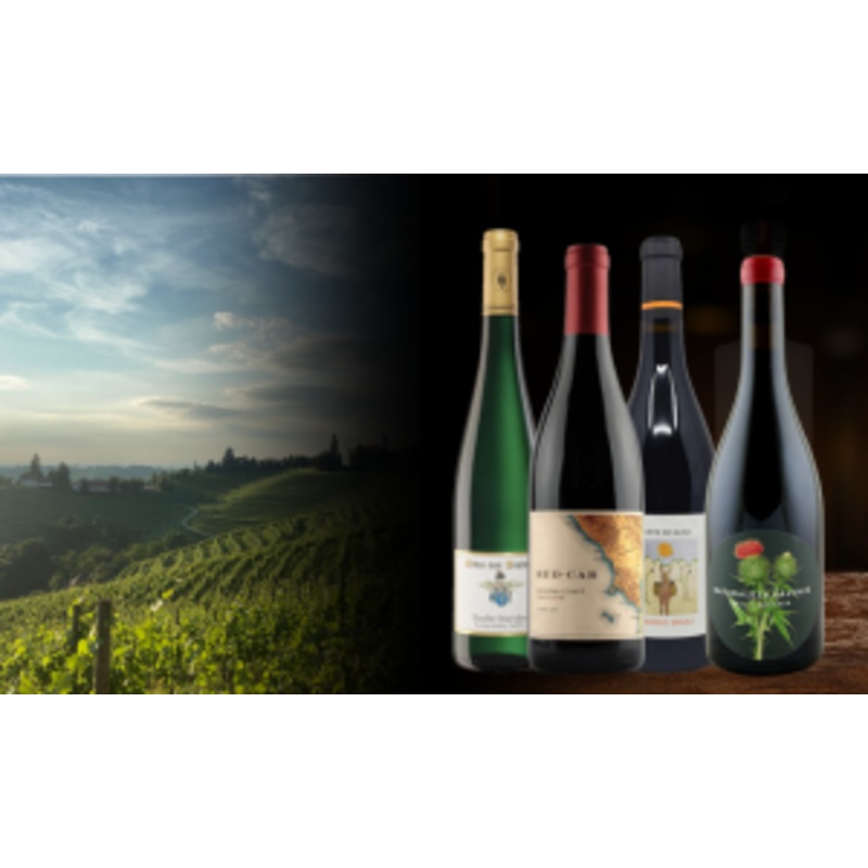 Wine (2-pack) (6-month-prepaid)