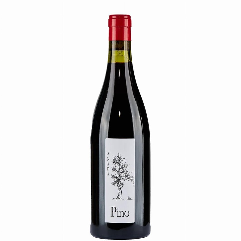 Bodegas y Vinedos Ponce Ponce Manchuela Blanco 2023 750ml