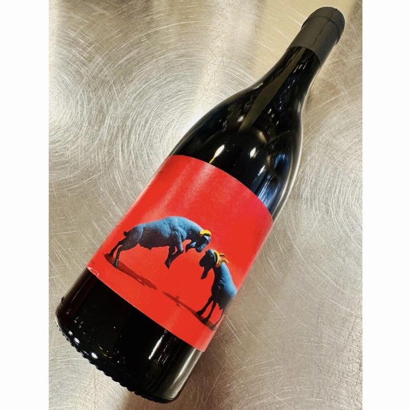 Agricola Calcarea Porfia Tinto Tintilla Rota 2023 750ml